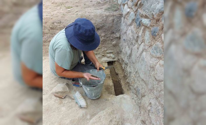 Üzüm tarımının tarihi yolculuğu gün yüzüne çıkarılacak