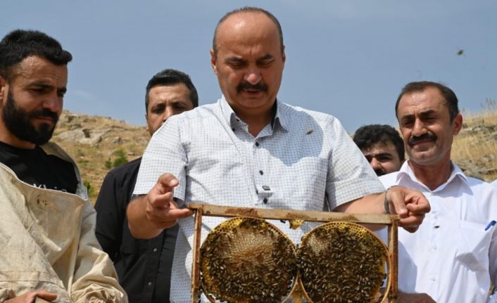 Vali Canalp, Cobet Yaylası’nda ilk bal sağımına katıldı