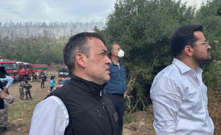 Vali Sözer, Vezirhan’daki orman yangını yerinde takip ediyor