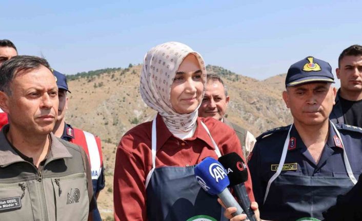 Vali Yiğitbaşı: "Kenelere karşı keklik timi görevde"