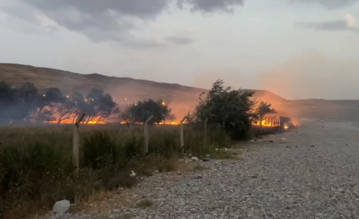 Van’da ağaçlık alanda yangın