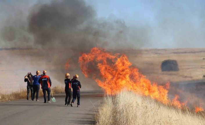 Verim için yapıldığı sanılıyor, toprağı zarara uğratıyor