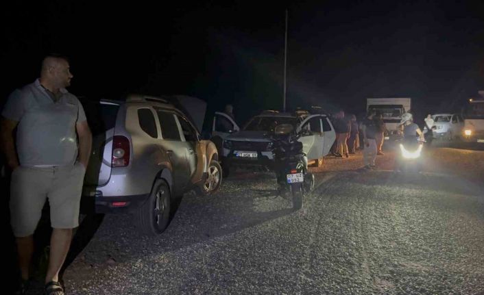 Yaban keçileri yangın sebebiyle doğal yaşam alanlarından kaçarken görüntülendi