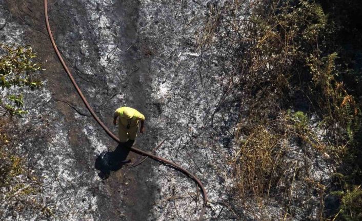 Yalova’da çıkan orman yangını büyümeden söndürüldü
