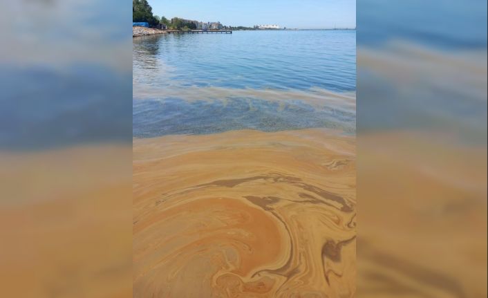 Yalova’da deniz kirliliğine sebep olan fabrikaya inceleme