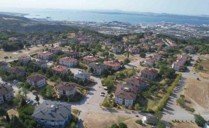 Yalova’da tepki çeken hayvan besleme yasağı