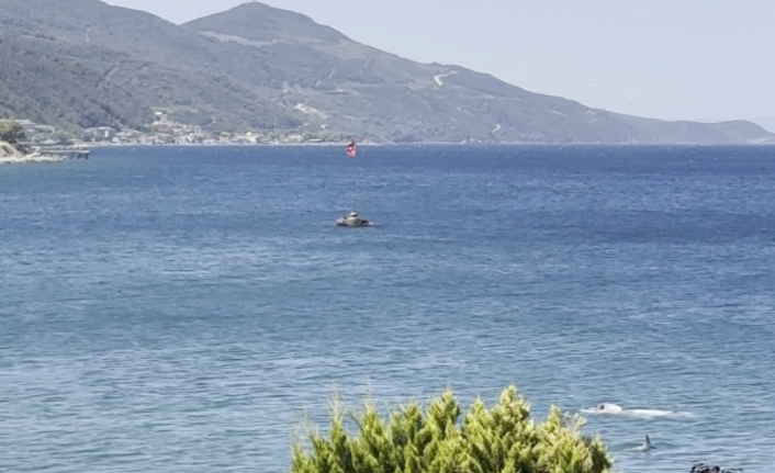 Yalova’da yunusun yüzen vatandaşla burun buruna geldiği anlar kamerada