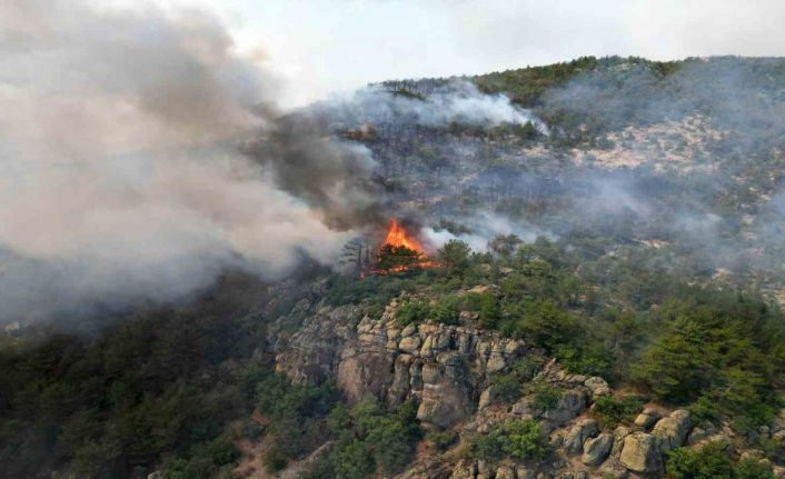 Yangın bölgesi havadan görüntülendi