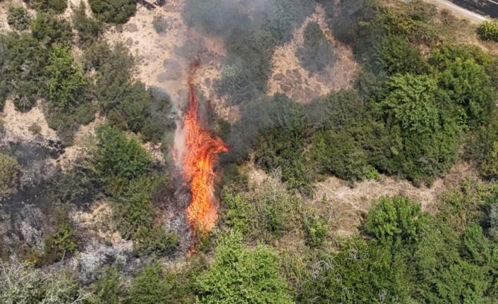 Yangın riski en yüksek haftaya giriliyor
