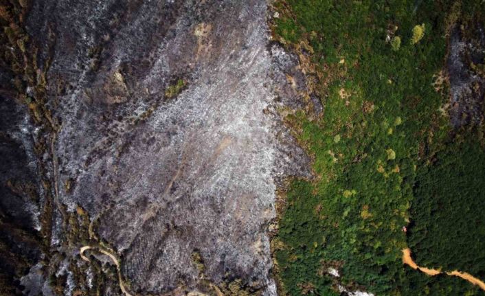 Yangın sonrası acı tablo: ’Yeşil’ ve ’siyah’ yan yana