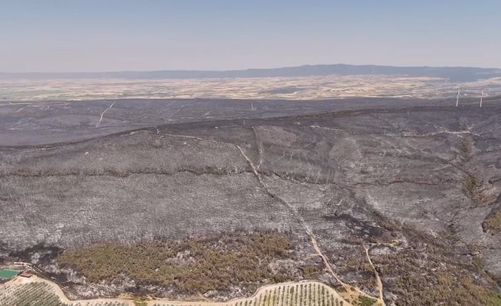 Yangında tahribatın boyutu havadan görüntülendi: Dev alanlar kül oldu