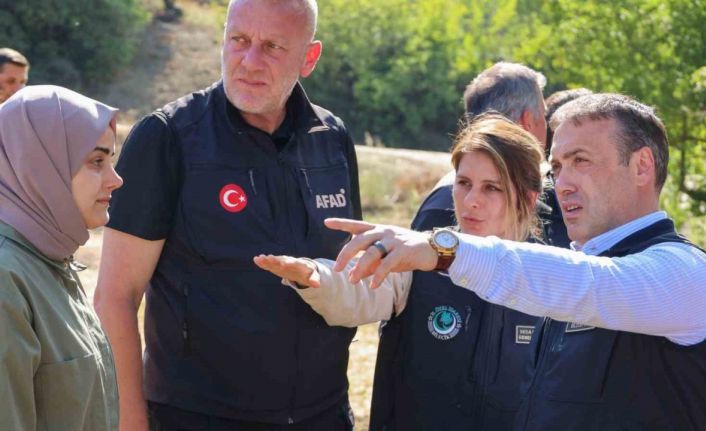 Yangından etkilenen vatandaşlar için konteyner alanları oluşturuluyor