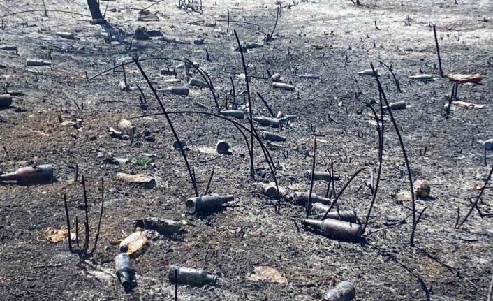 Yangının ardından utanç manzarası
