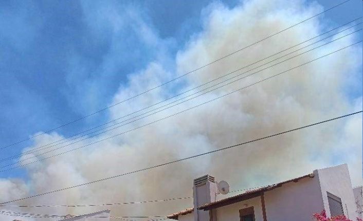 Yangınlar Çeşme’ye sıçradı: Otluk alanda çıkan yangına müdahale sürüyor