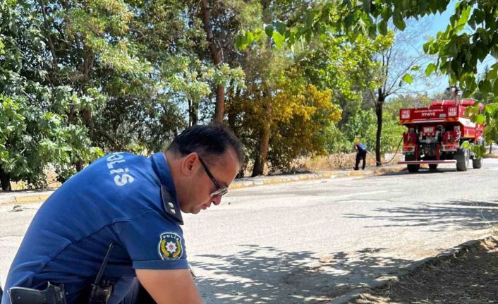 Yanmak üzere olan kaplumbağayı polis son anda kurtardı
