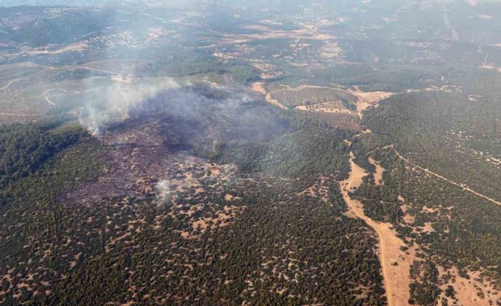 Yatağan yangını kontrol altında