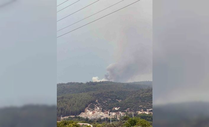 Yatağan’da yıldırım yangını