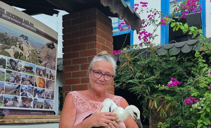 Yavru Leylek EKODOSD’da bakıma alındı, göç için hazırlanıyor