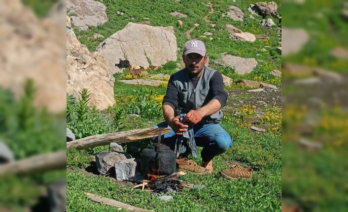 Yaylada kalp krizi geçiren çoban hayatını kaybetti