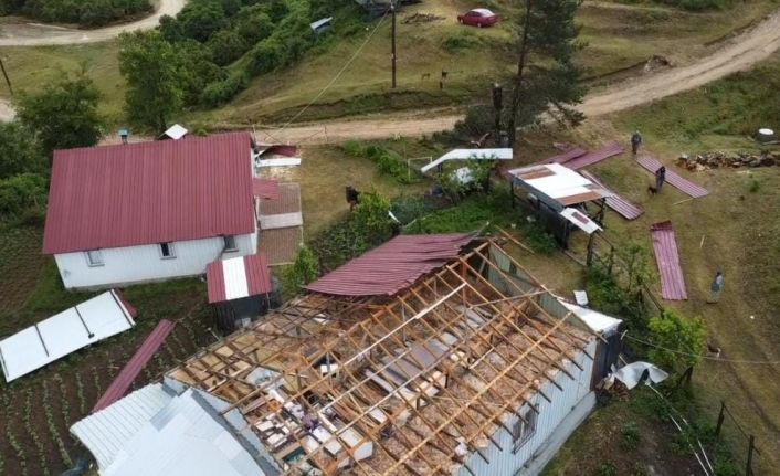 Yaylada şiddetli rüzgar ağaçları devirdi, çatıları uçurdu