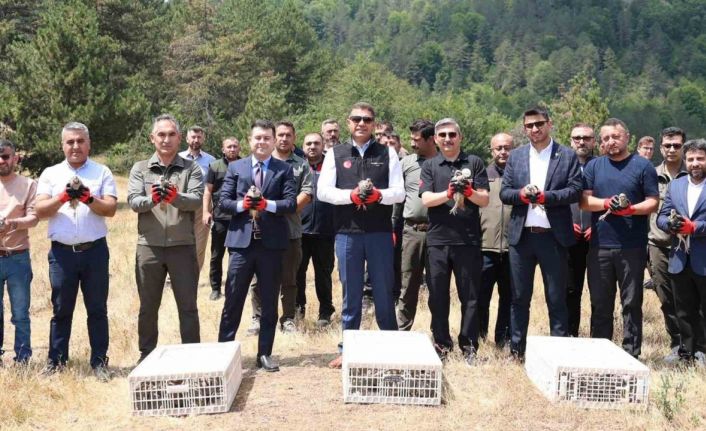 Yaylatepe’de 500 keklik doğaya salındı