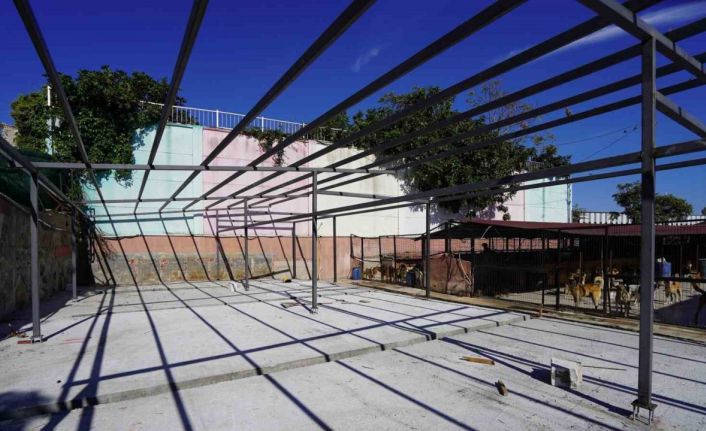 Yedikule Hayvan Barınağı’nın 2. etabı tamamlandı