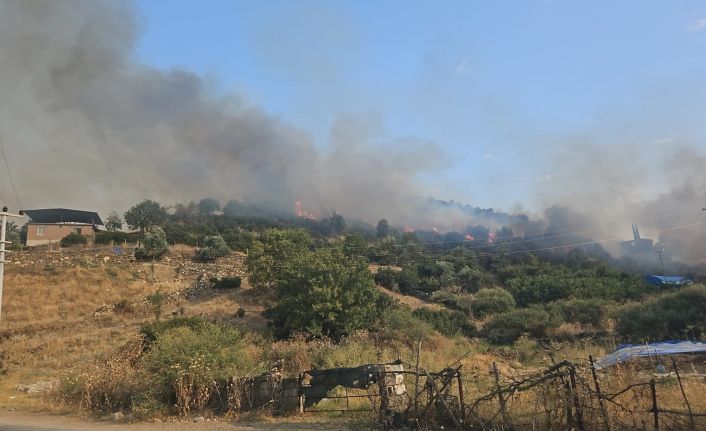 Yerleşim yerine yakın mesafede çıkan yangın büyümeden söndürüldü