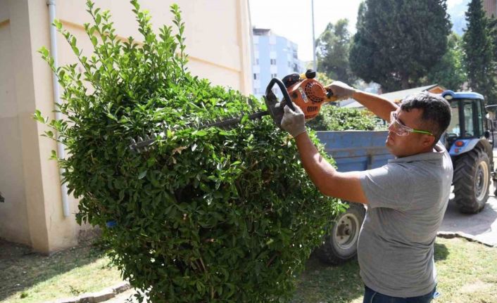 Yeşil bir Yunusemre için çalışmalar aralıksız devam ediyor