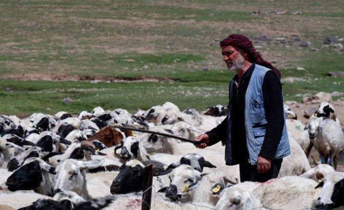 Yetiştiricilere 127,7 milyon TL kredi desteği