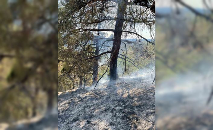 Yıldırım düşmesi sonucu çıkan orman yangını havadan müdahale ile söndürüldü