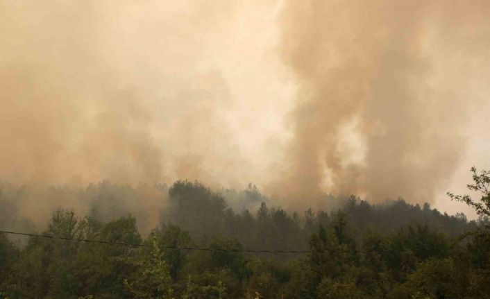 Yoğun dumanlar havadan müdahaleyi zorlaştırıyor