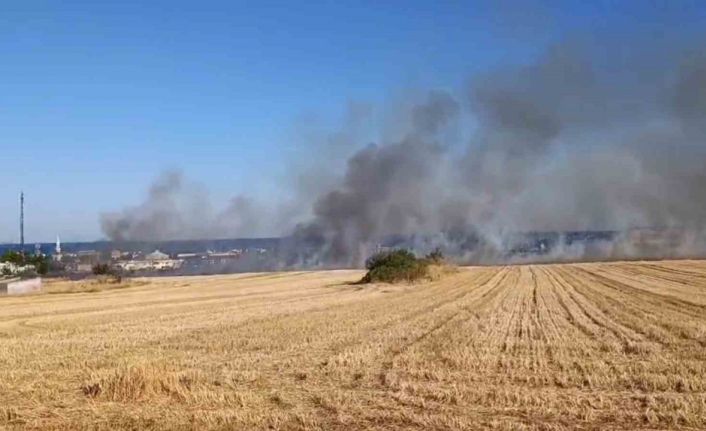 Yol kenarına atıdığı iddia edilen izmarit yangın çıkardı: Tekirdağ-İstanbul yolu dumanlarla kaplandı