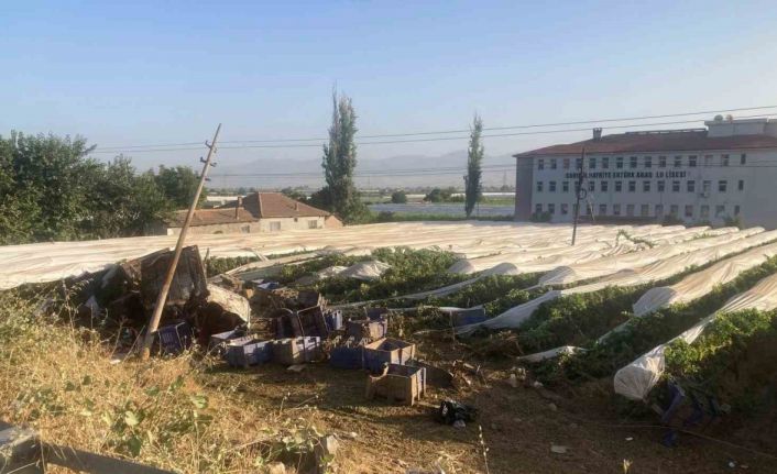 Yoldan çıkıp üzüm bağına uçan tırın şoförü hayatını kaybetti