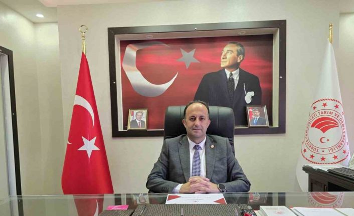 Yozgat, yeşil mercimek üretiminde ilk sırada yer aldı