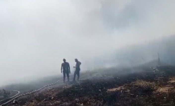 Yozgat’ta anız yangını paniğe neden oldu