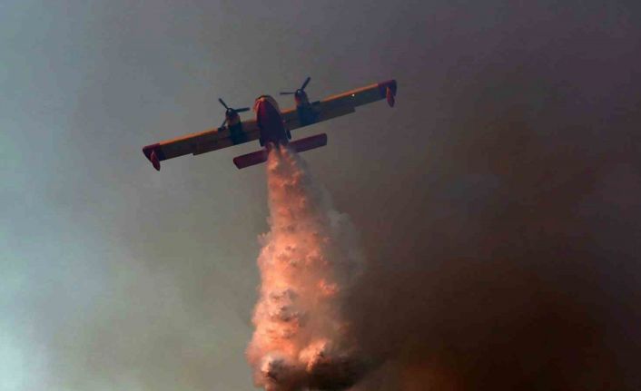 Yunanistan’ın Oropos bölgesinde orman yangını