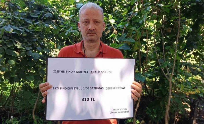 Ziraat mühendisinden fındığın maliyeti hesabı: 222 TL
