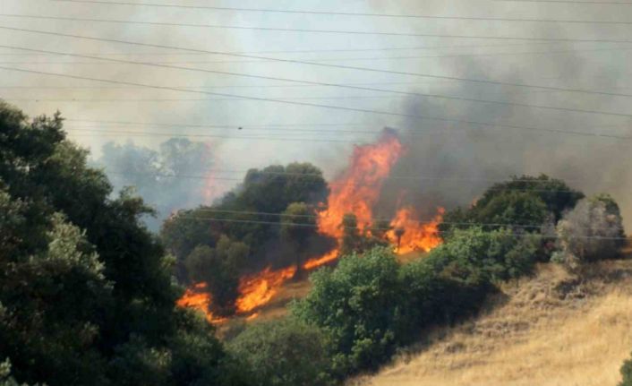 Zirai alanda başlayan yangın ormana sıçradı müdahale devam ediyor