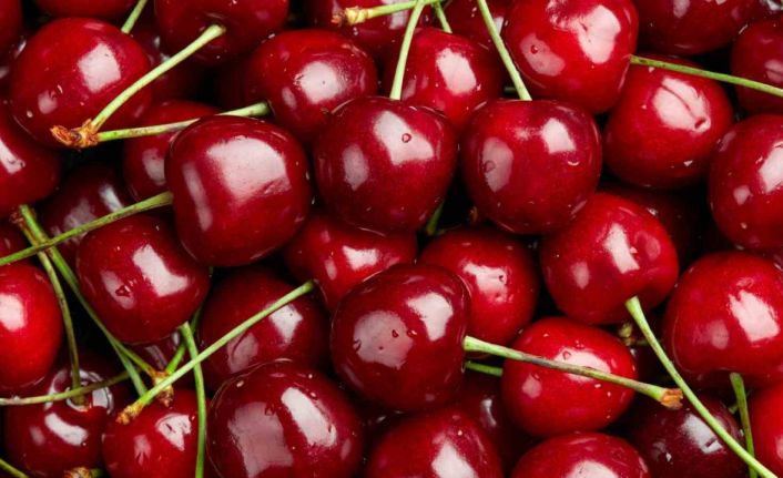 Zirai don kirazı vurdu, geçen yıla göre 61 bin ton ihracat kaybı yaşandı