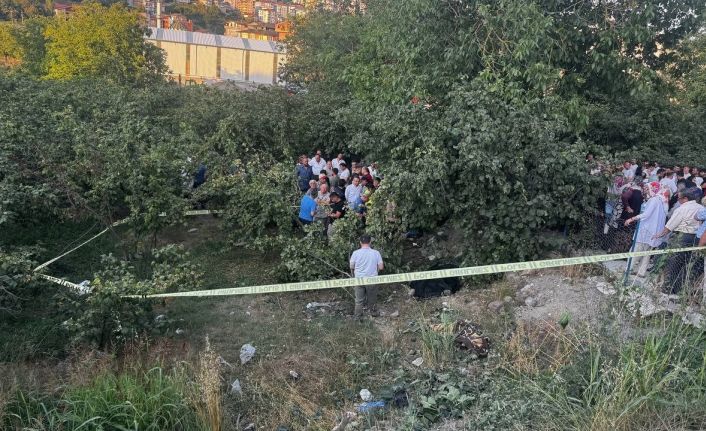 Zonguldak’ta kamyonet fındık bahçesine uçtu: Araçtan fırlayan sürücü öldü