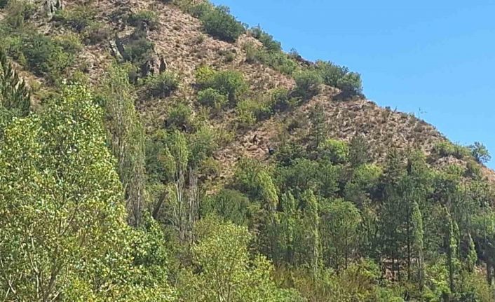 10 gündür kayıp olarak aranan yaşlı adam ölü bulundu