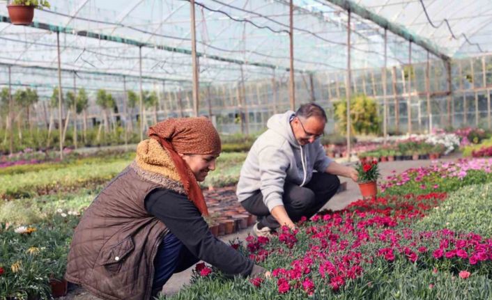 27 milyon 300 bin adet çiçek üretimi gerçekleştirildi