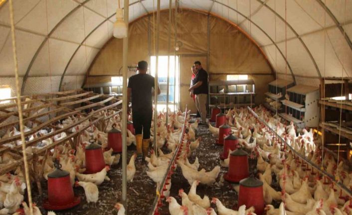 30 tavukla başladığı işletmesinde bin 700 tavuğa ulaştı