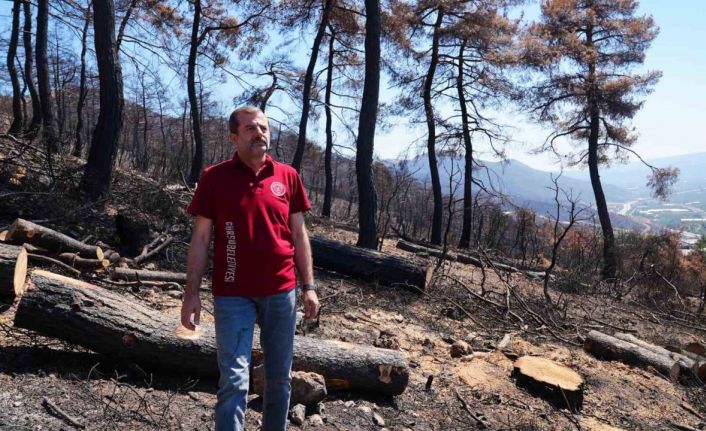 3 bin kilo tohum, yanan bölgelerde toprakla buluşacak