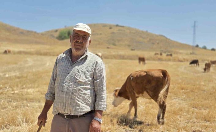 40 yıllık çoban sağlığını mesleğine borçlu olduğunu söyledi