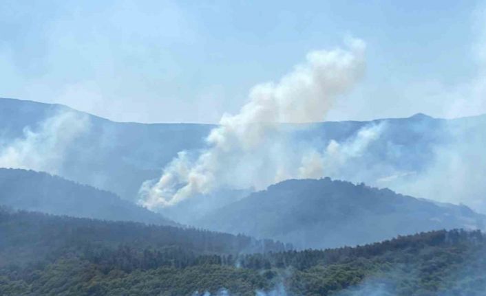 963 personel, 16 hava aracı ile Karamürsel’deki yangına büyük seferberlik