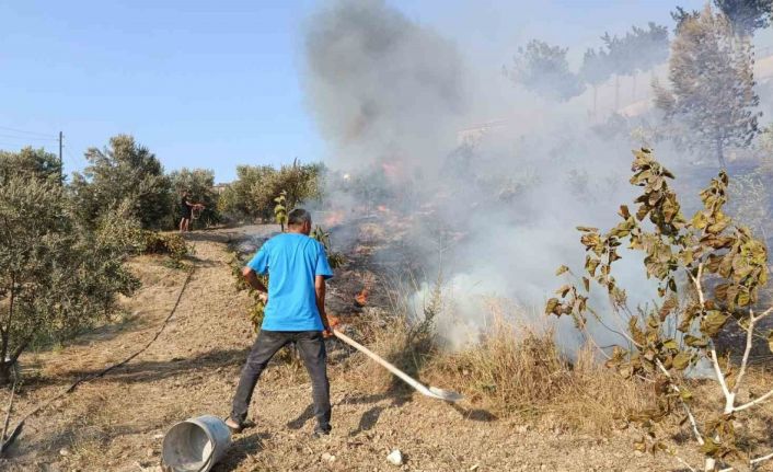 Adana’da ağaçlık alanda çıkan yangın kontrol altına alındı