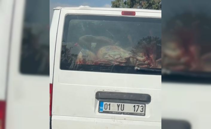 Adana’da etler hijyen kurallarına aykırı taşındı