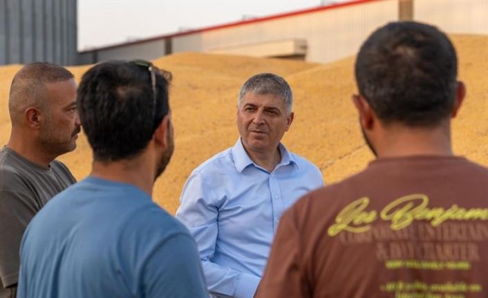 Adana’da mısırda 1 milyon 135 bin ton rekolte bekleniyor