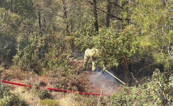 Adana’da orman yangını kontrol altına alındı